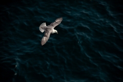 20130626_2013-06-26-09-53-42Canon-Canon-EOS-5D-Mark-II5616x3744