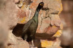 20140527_2014-05-27-19-18-55Canon-Canon-EOS-5D-Mark-II5616x3744