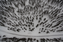 20170202_DJI_0997