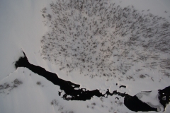 20170205_DJI_0013