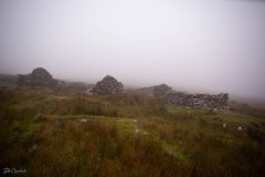 MG_0657