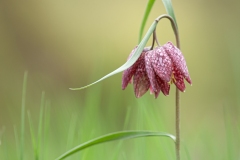 20150328_627